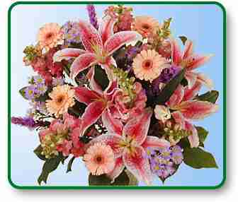 flowers,delivery,flower,nationwide,flower delivery,nationwide,send flowers,shop flowers,roses.discount,valentines day flower,birthday,flowers,roses,wild, 
lotus,send,delivery,online,1 800,silk, shop flowers,valentines day,garden,virtual,arrangement,horn,tropical,ftd,power,wholesale,photo,hawaiian,bulb,
balloon,balloons,delivery,bouquet