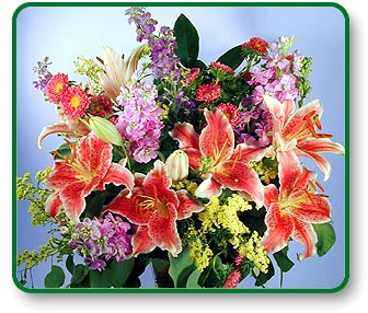 nationwide,flower delivery,nationwide,send flowers,shop flowers,roses.discount,valentines day flower,birthday,flowers,roses,wild, 
lotus,send,delivery,online,1 800,silk, shop flowers,valentines day,garden,virtual,arrangement,horn,tropical,ftd,power,wholesale,photo,hawaiian,bulb,
balloon,balloons,delivery,bouquet