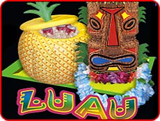 Luau Birthday Party Ideas on Party Supplies